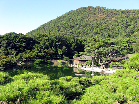 大井食堂