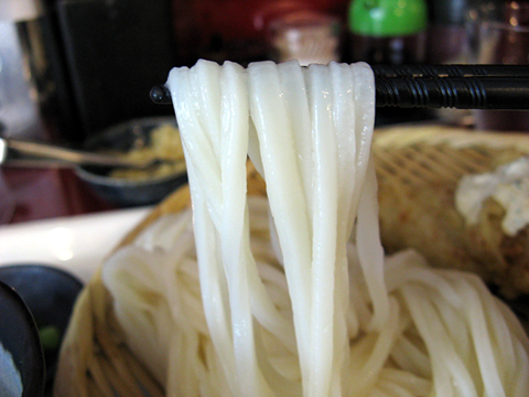 さぬき麺 山下本気うどん