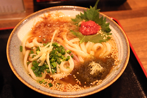 梅昆布うどん800円