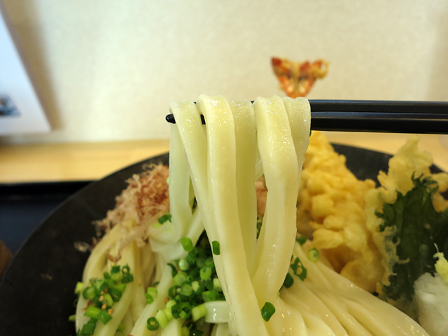 本場讃岐うどん 麺の里