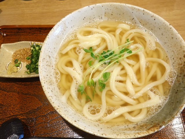 かけうどん600円