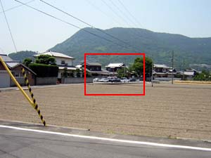 田んぼ
