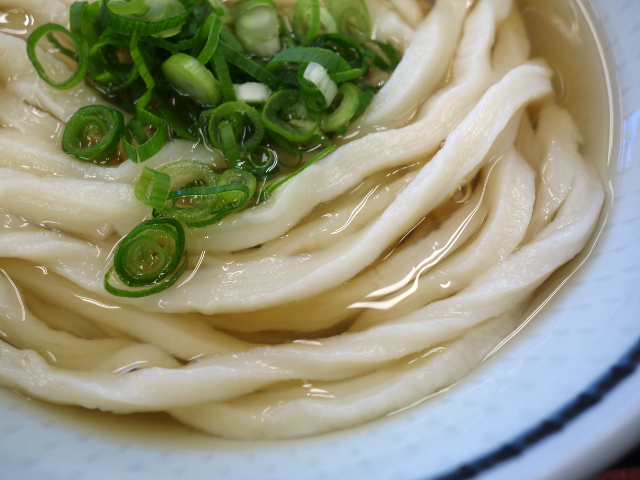 手打 宮武うどん